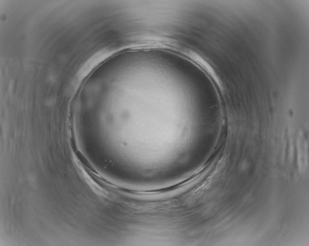 X0000063531485200601201446