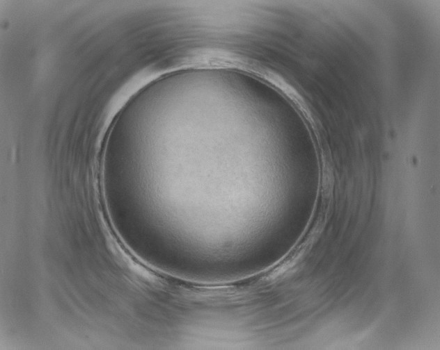 X0000063531486200601201446