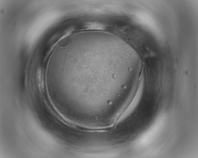 X0000063531487200601201445