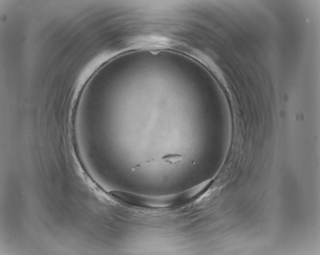 X0000063531488200601201445