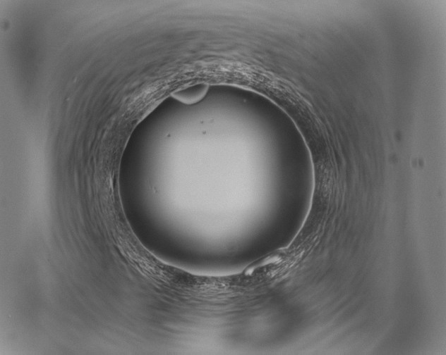 X0000063531489200601201445