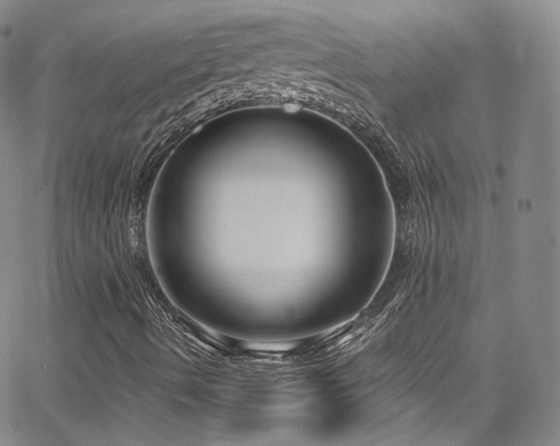 X0000063531490200601201445