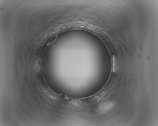 X0000063531491200601201445