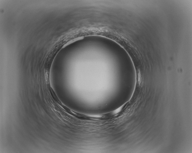 X0000063531492200601201445