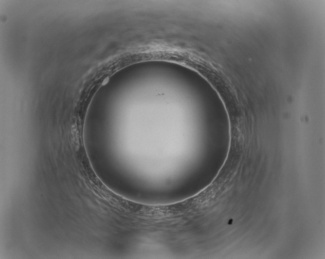 X0000063531493200601201445