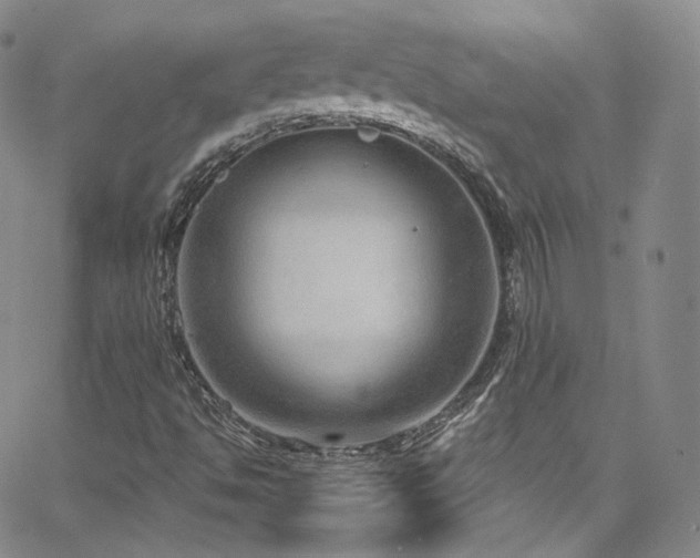 X0000063531494200601201445