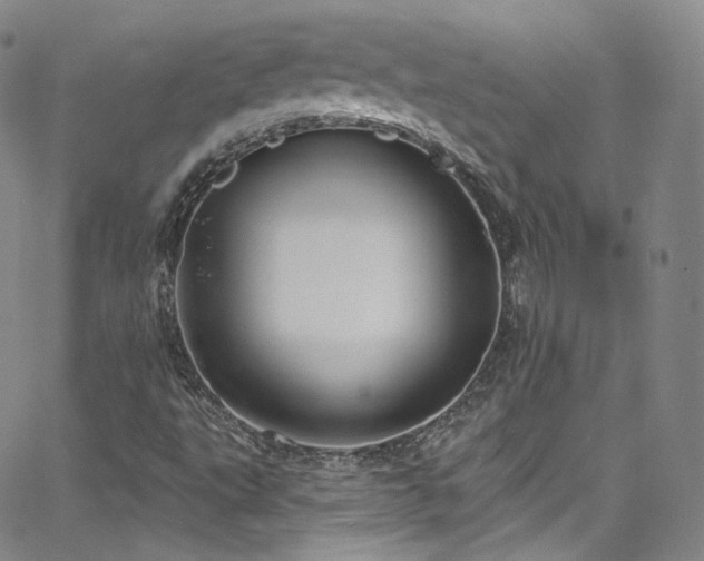 X0000063531495200601201445