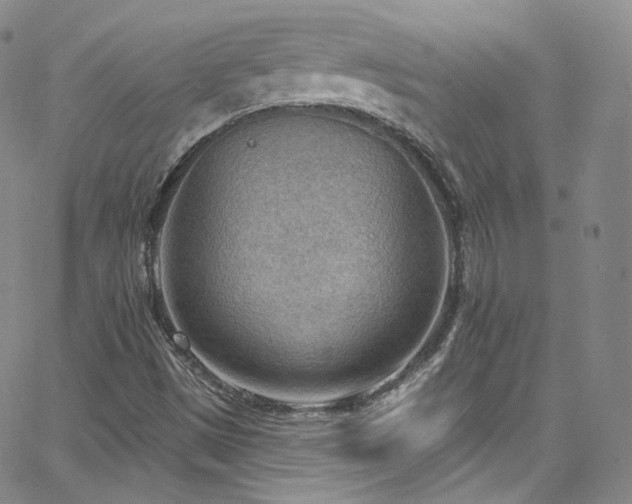 X0000063531497200601201445