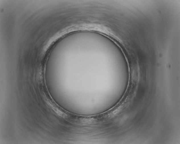 X0000063531498200601201445