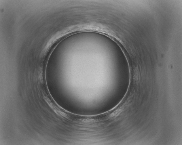 X0000063531499200601201445