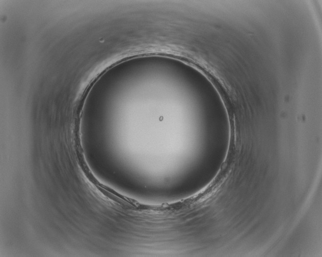 X0000063531500200601201445