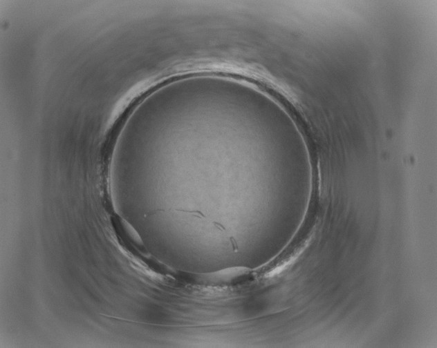 X0000063531501200601201445