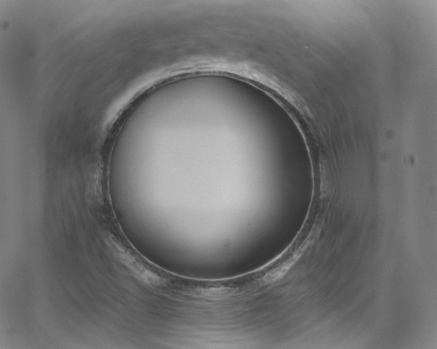 X0000063531502200601201445