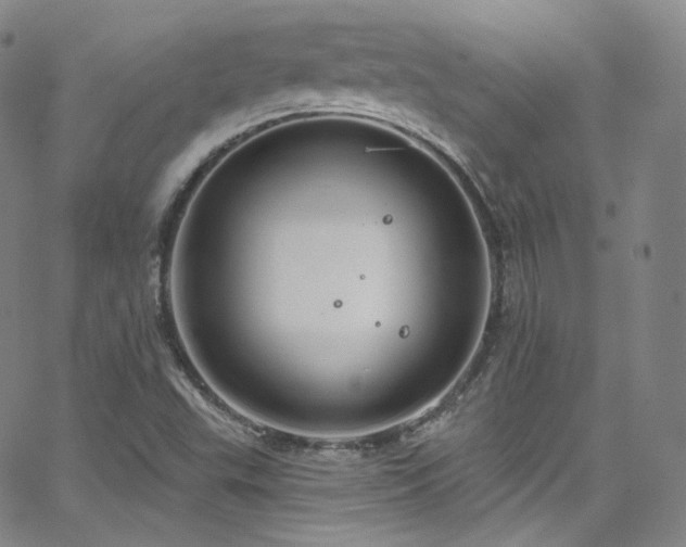 X0000063531503200601201445