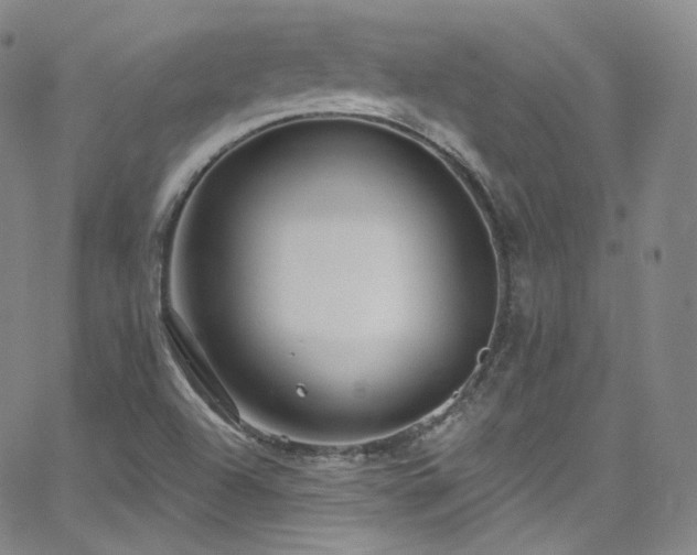 X0000063531504200601201445