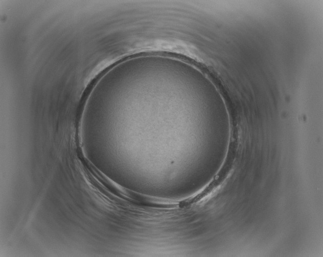 X0000063531505200601201445