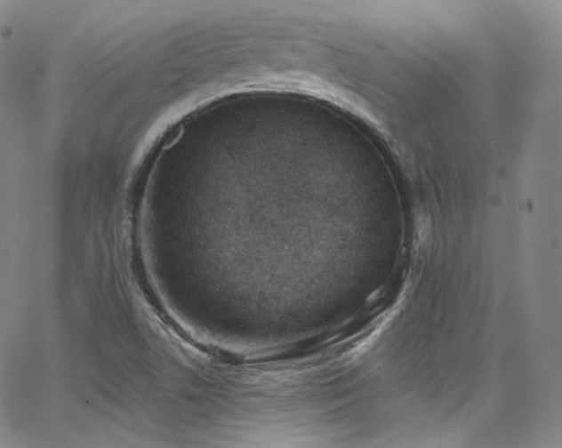 X0000063531506200601201445