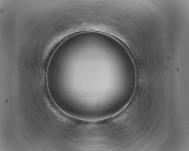 X0000063531507200601201445