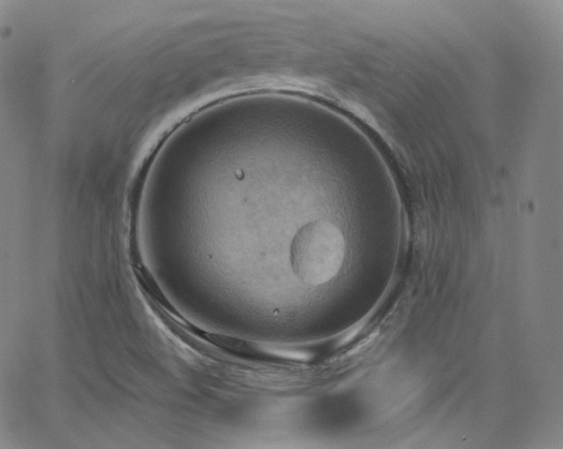 X0000063531508200601201445