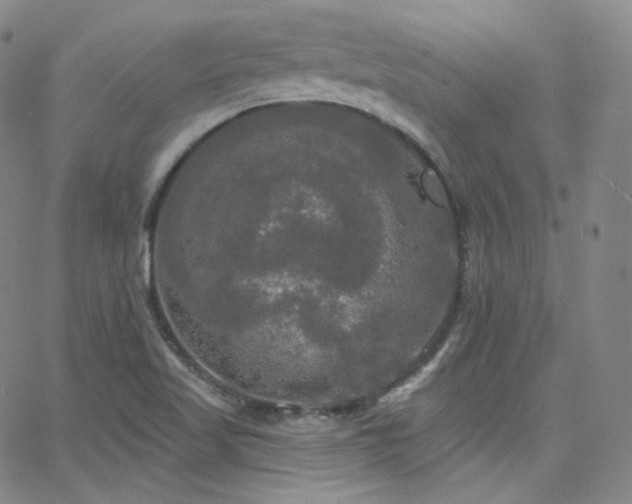 X0000063531509200601201445