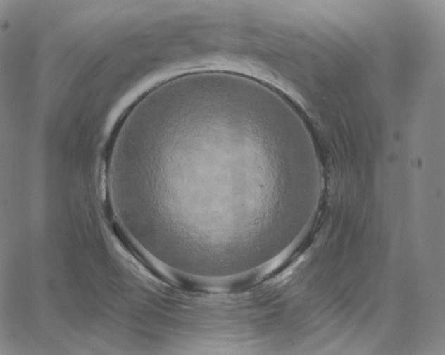 X0000063531510200601201445