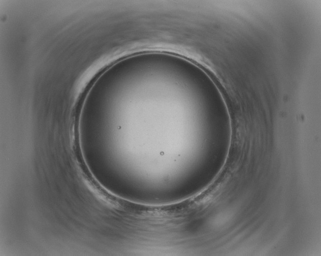 X0000063531511200601201445