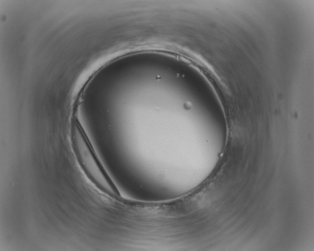 X0000063531512200601201445