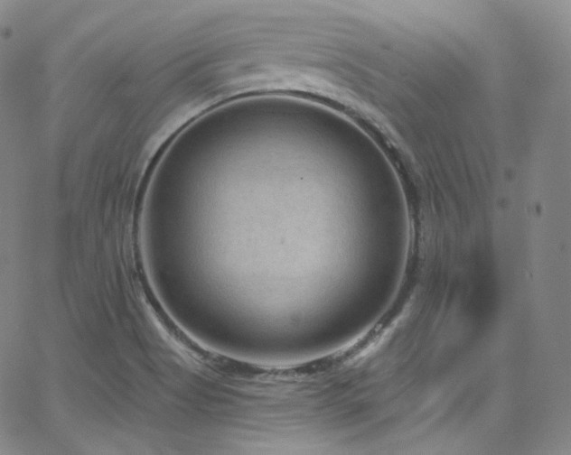 X0000063531513200601201445