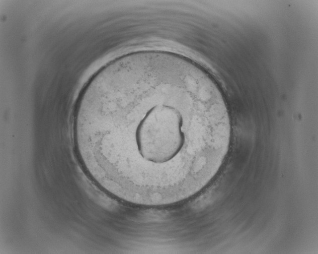 X0000063531514200601201445