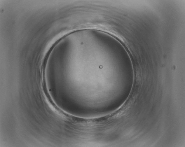 X0000063531515200601201445