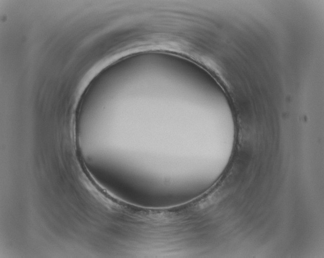 X0000063531516200601201445