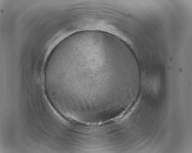 X0000063531517200601201445