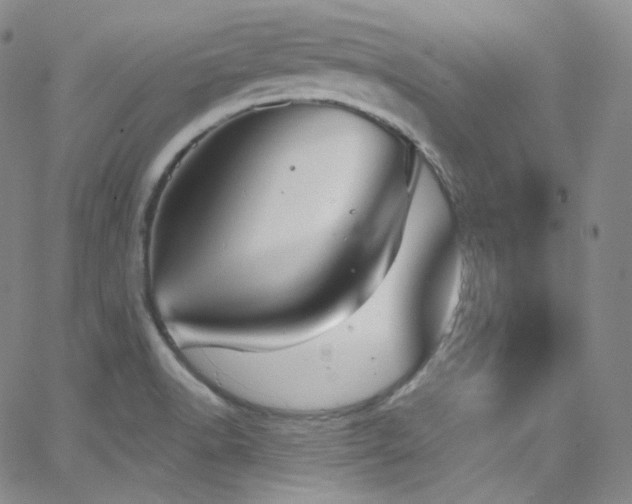 X0000063531518200601201445