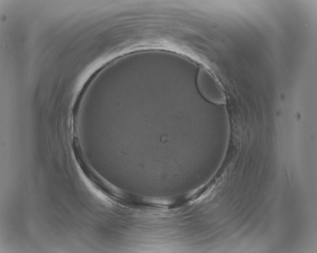 X0000063531519200601201445