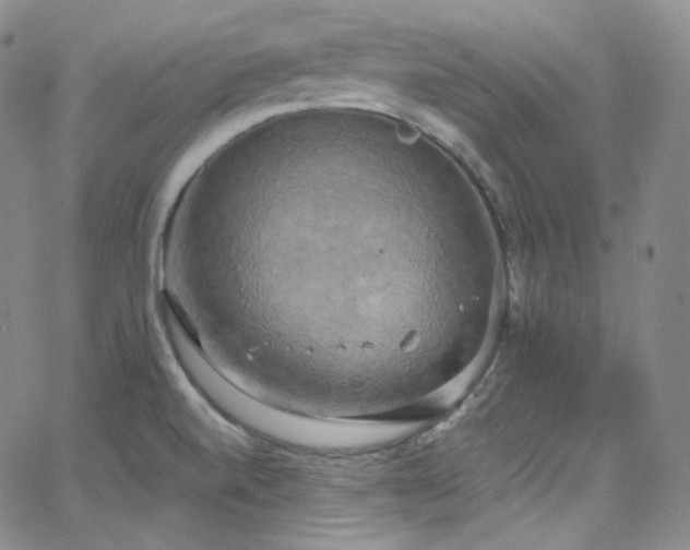 X0000063531520200601201445