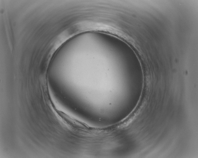 X0000063531521200601201445