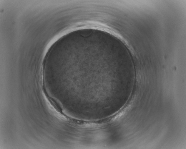 X0000063531522200601201445