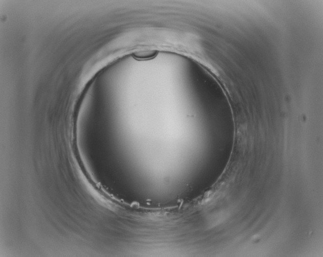 X0000063531523200601201445