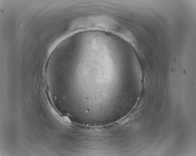 X0000063531524200601201445