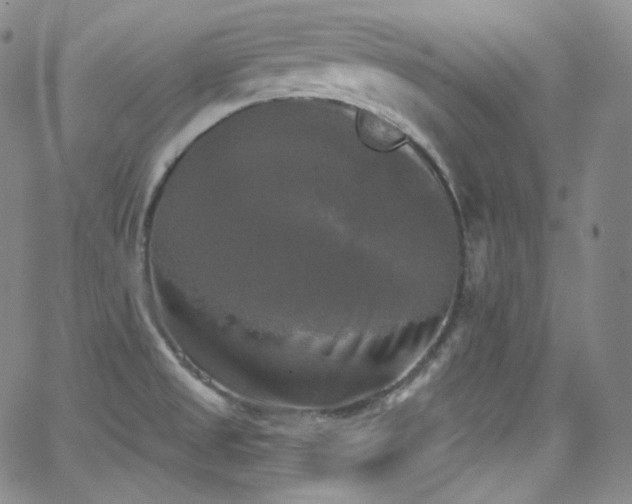 X0000063531525200601201445