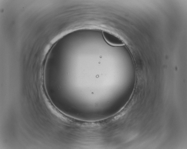 X0000063531526200601201445