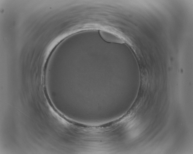 X0000063531527200601201445