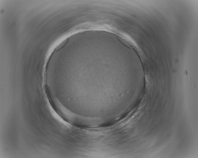 X0000063531528200601201445