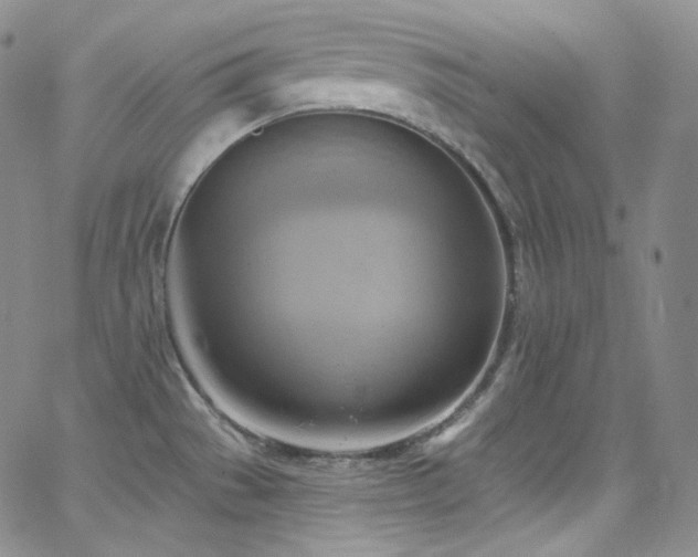 X0000063531529200601201445