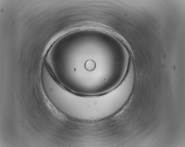 X0000063531530200601201445