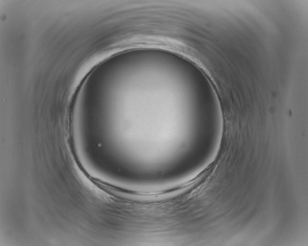 X0000063531531200601201445