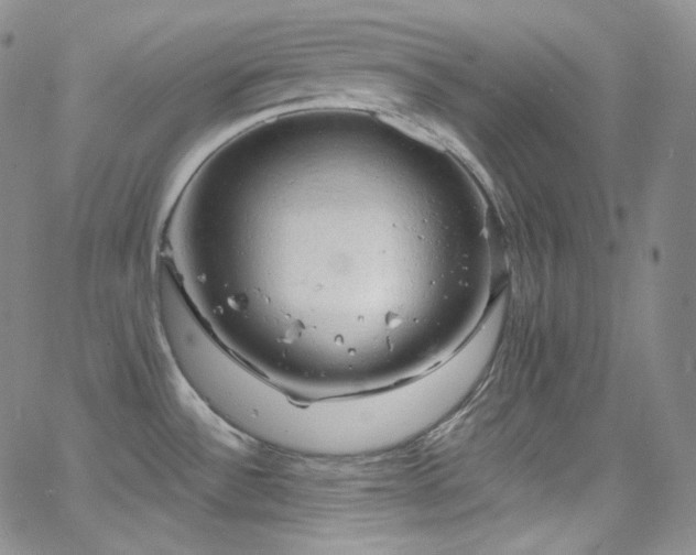 X0000063531532200601201445