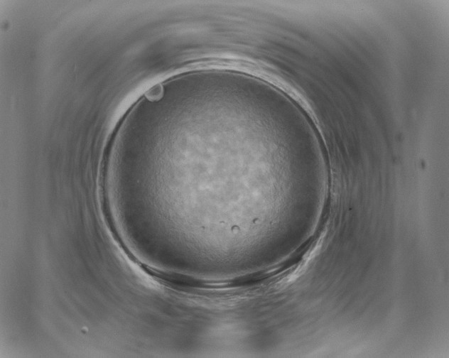 X0000063531533200601201445