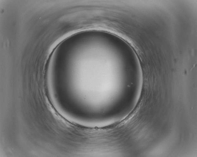 X0000063531534200601201445