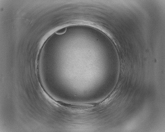 X0000063531535200601201445